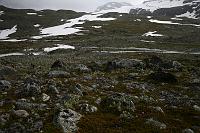 _MG_9422