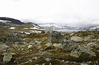 _MG_9496