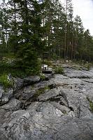 IMG_9866