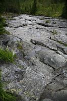 IMG_9874