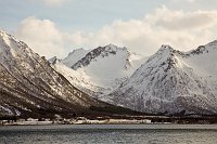 _MG_0163