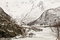 _MG_0196