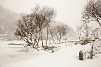 _MG_0260