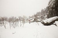 _MG_0262