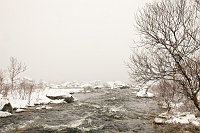 _MG_0267
