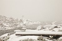 _MG_0269