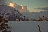 _MG_0519
