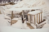 _MG_0520
