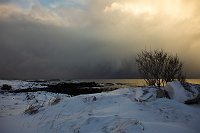 _MG_0542