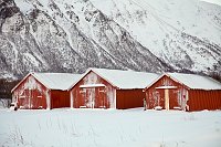_MG_0544