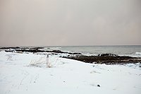 _MG_0546