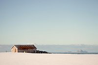 _MG_1620