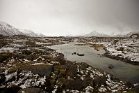 _MG_9818