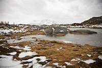 _MG_9824