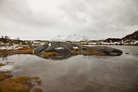 _MG_9827
