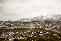 _MG_9846