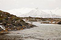 _MG_9858