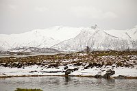 _MG_9867