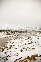 _MG_9871
