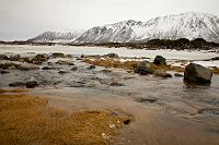 _MG_9879