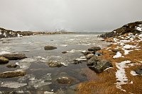 _MG_9881