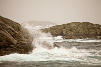 _MG_9982