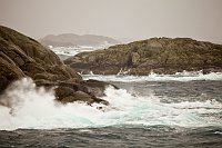 _MG_9993