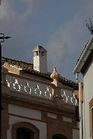 IMG_2495