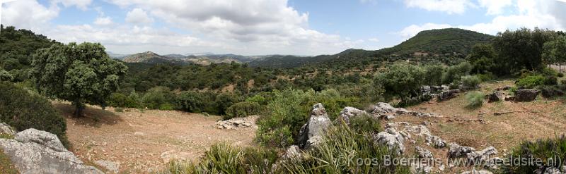 20100507coripe04