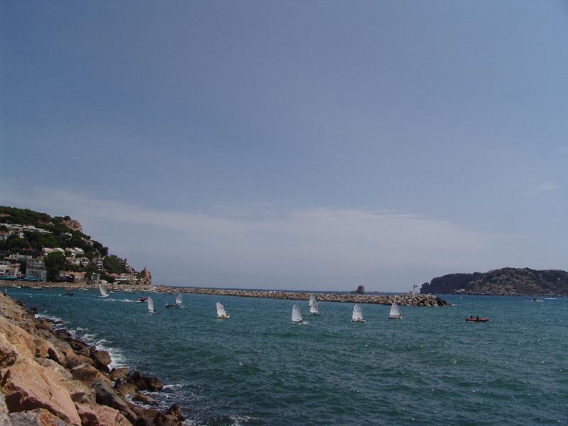 DSC07434 