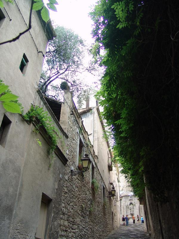 DSC06879 