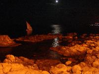 DSC07216 