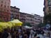 Madrid (593)