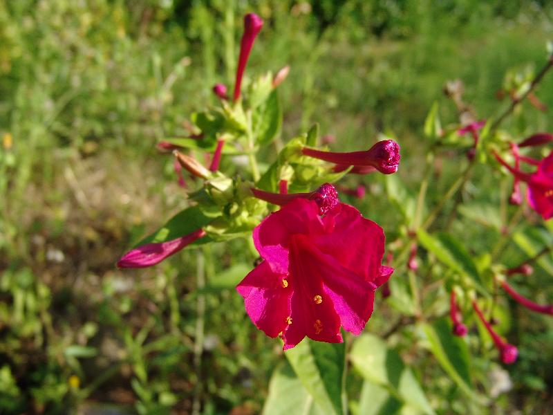 DSC01308 
