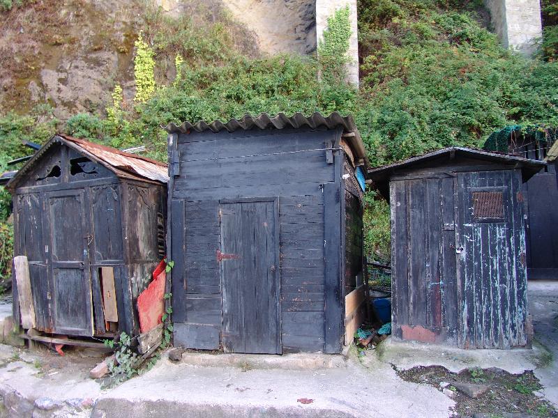 DSC01350 