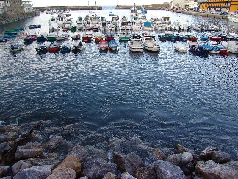 DSC01354 