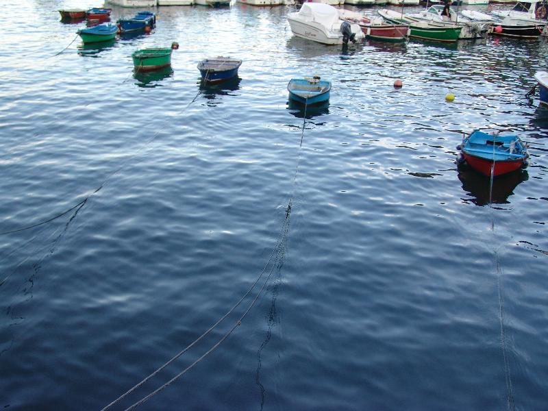 DSC01366 