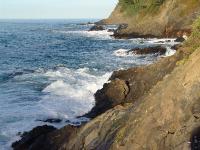 DSC01320 