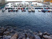 DSC01354 