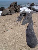 DSC02109