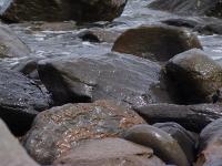 DSC02134