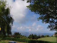 DSC02184