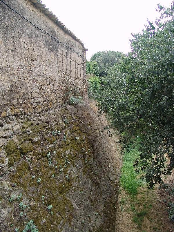 DSC07795 