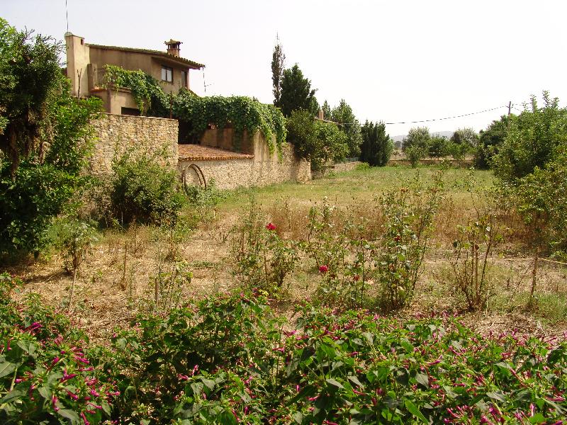 DSC07808 