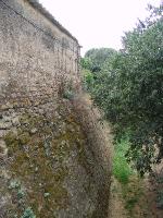 DSC07795 