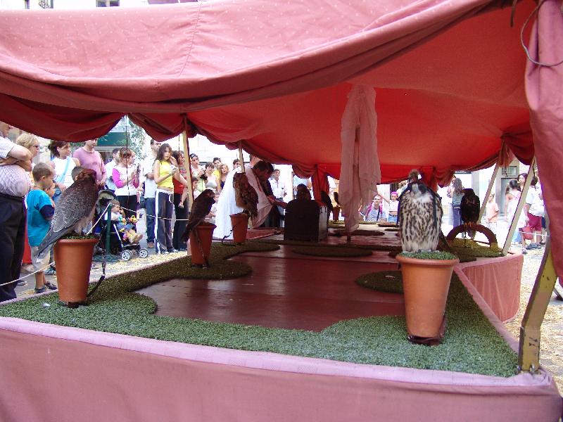 DSC08431 