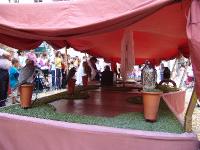 DSC08431 