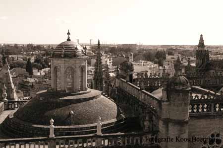 P1010267