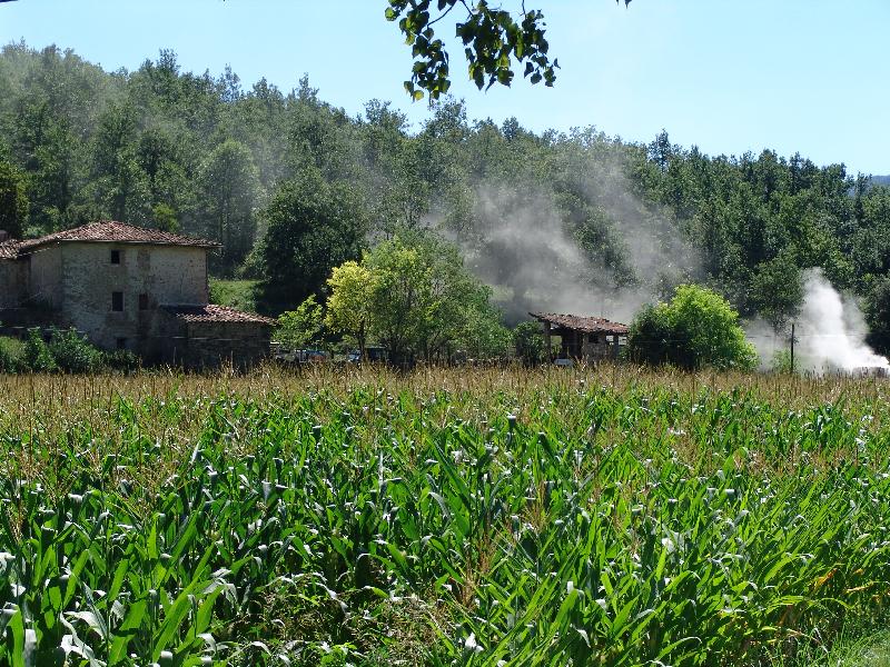 DSC08184 