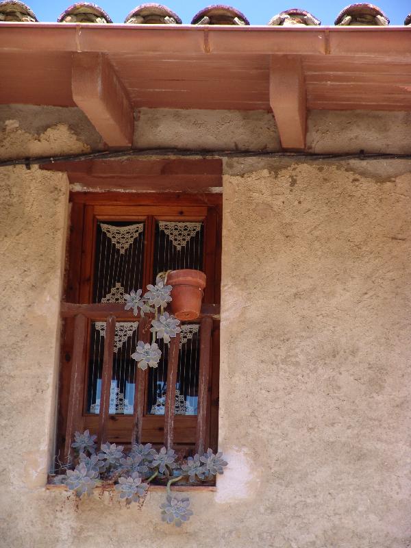 DSC08209 